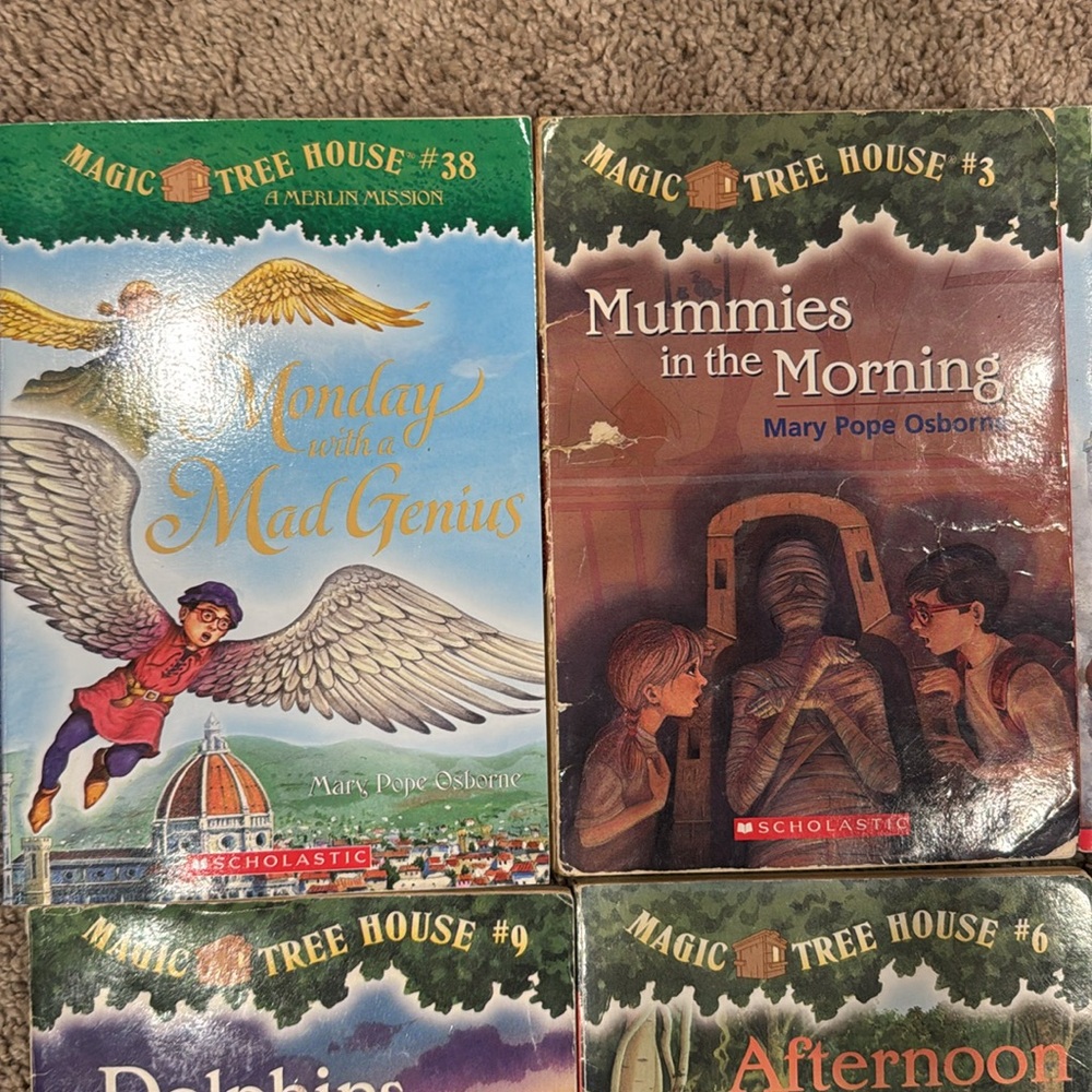 Magic Tree House Books Lot plus Extra - Picture 2 of 6